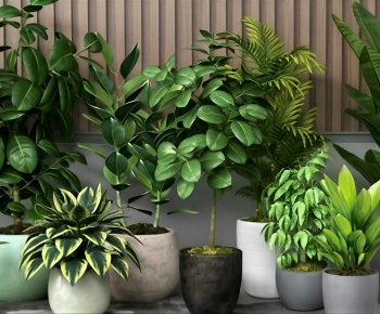 Modern Ground Green Plant Potted Plants-ID:668200979