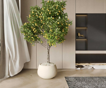 Modern Ground Green Plant Potted Plants-ID:167603972