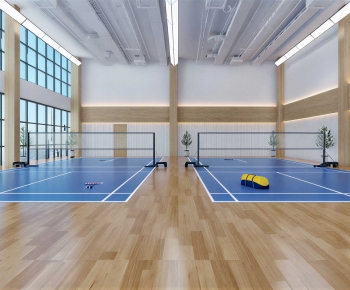 Modern Indoor Badminton Court-ID:169204006