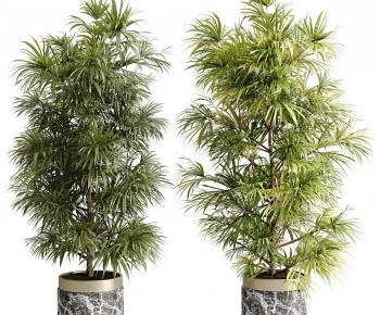 Modern Ground Green Plant Potted Plants-ID:859239104