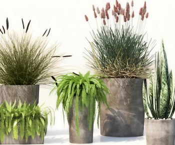 Modern Ground Green Plant Potted Plants-ID:639965066
