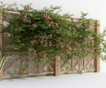 Modern Vine-ID:765914922