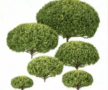 Modern Shrubbery-ID:270606991