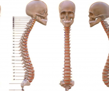 Modern Medical Equipment-ID:340152982
