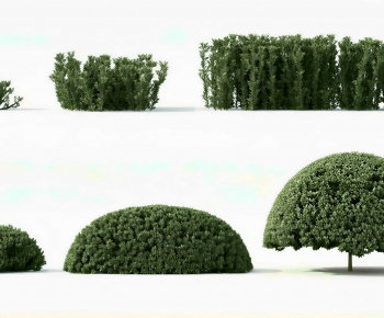 Modern Shrubbery-ID:560040005