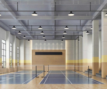 Modern Indoor Badminton Court-ID:340377097