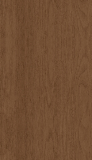 ModernWood Texture