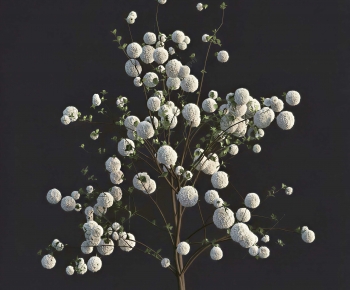 Modern Flowers And Grass-ID:887548999