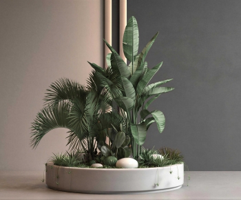 Modern Plant Landscaping-ID:325047029