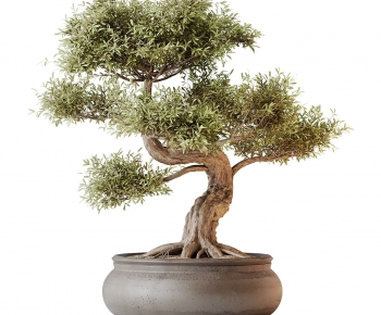 New Chinese Style Bonsai-ID:816545963