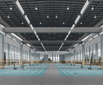Modern Indoor Badminton Court-ID:483660794