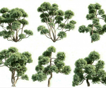 Modern Tree-ID:387233024