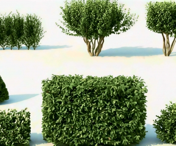 Modern Shrubbery-ID:365066053