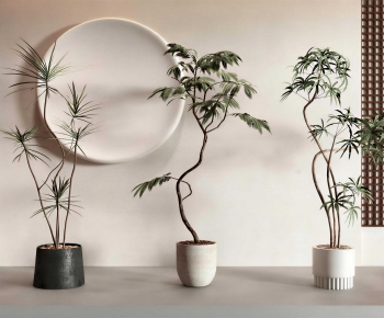 Modern Ground Green Plant Potted Plants-ID:231647976