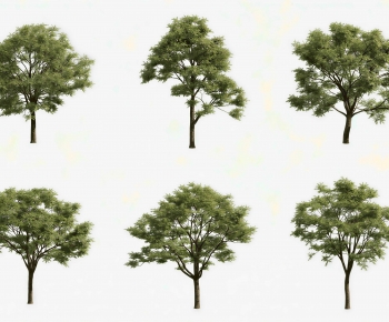 Modern Tree-ID:901205067