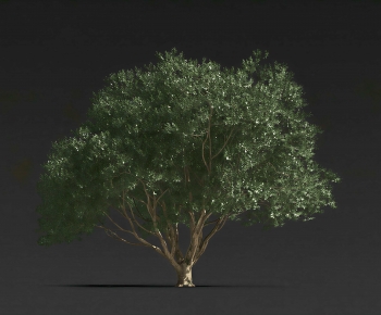 Modern Tree-ID:108366973