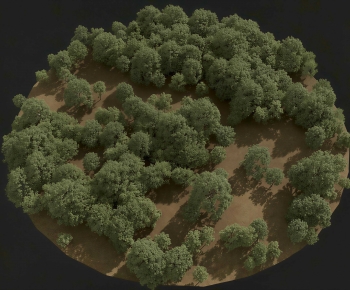 Modern Tree-ID:261652952