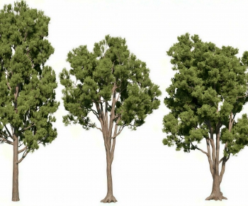 Modern Tree-ID:933255917