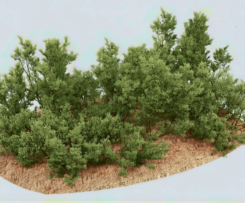 Modern Plant Pile-ID:197016952