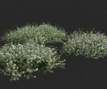 Modern Shrubbery-ID:759619955