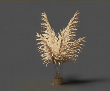 Wabi-sabi Style Dried Branch-ID:270742899