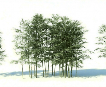 Modern Bamboo-ID:418191916