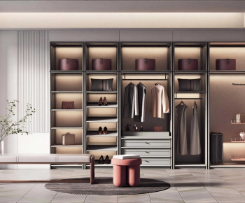 Modern Clothes Storage Area-ID:531740908
