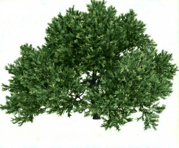 Modern Shrubbery-ID:110800036