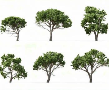Modern Tree-ID:920566086