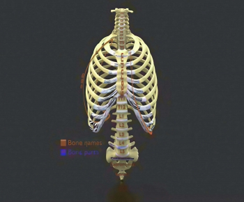 Modern Medical Equipment-ID:819349054
