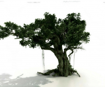 Modern Tree-ID:852452996