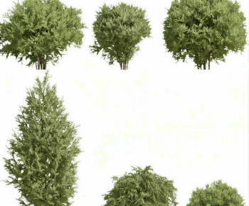 Modern Shrubbery-ID:850471971