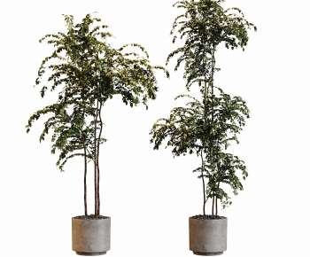 Modern Ground Green Plant Potted Plants-ID:479875091