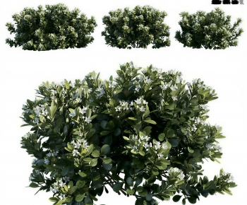 Modern Shrubbery-ID:656079056