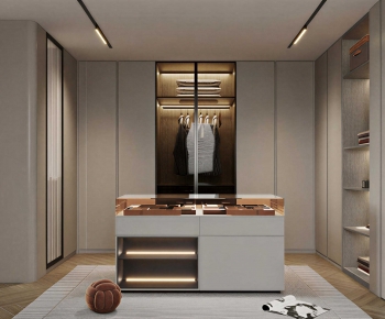 Modern Clothes Storage Area-ID:272200136