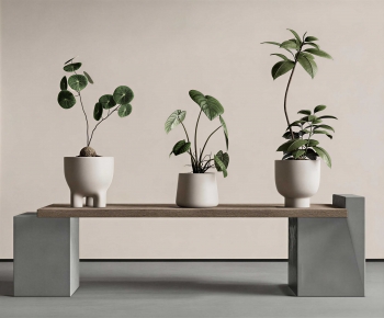 Modern Ground Green Plant Potted Plants-ID:909369957