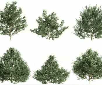 Modern Shrubbery-ID:138900045