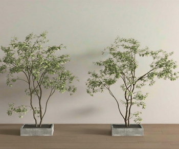 Modern Tree-ID:739276893