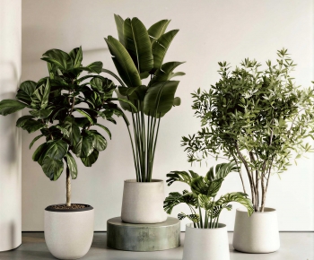 Modern Ground Green Plant Potted Plants-ID:286419452