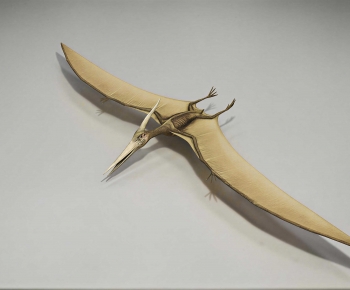 Modern Flying Animals-ID:507206924