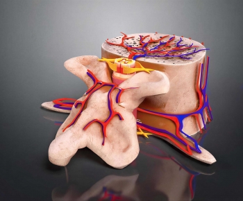 Modern Medical Equipment-ID:695739037