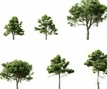 Modern Tree-ID:638271094