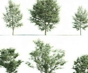 Modern Tree-ID:592344059