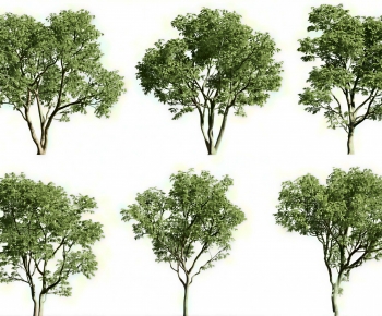 Modern Tree-ID:836361892