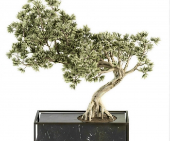 New Chinese Style Bonsai-ID:760747914