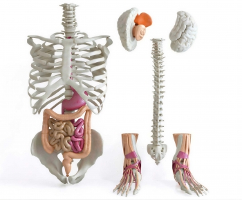 Modern Medical Equipment-ID:594249962