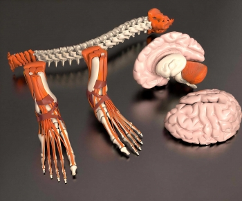 Modern Medical Equipment-ID:388248922