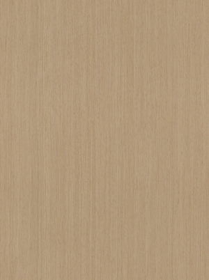 ModernWood Texture