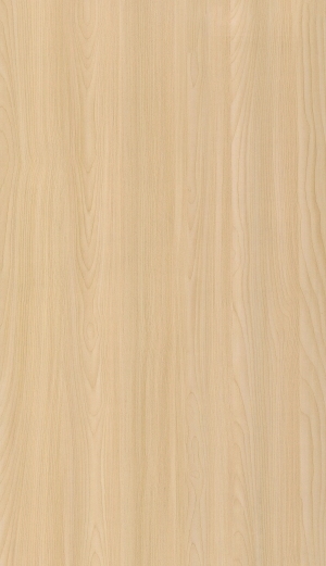 ModernWood Texture