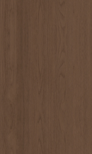 ModernWood Texture